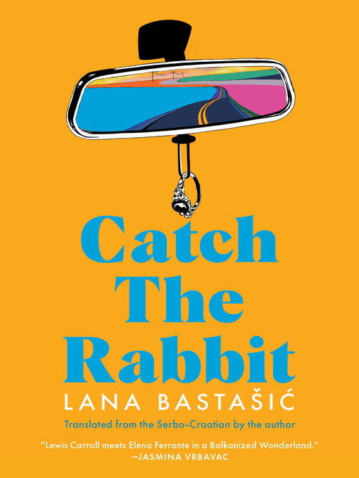 Cover image for Catch the Rabbit